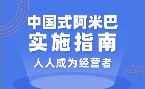 胡八一中国式阿米巴实施指南