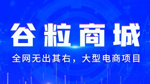 电商开发：尚硅谷2020谷粒商城项目